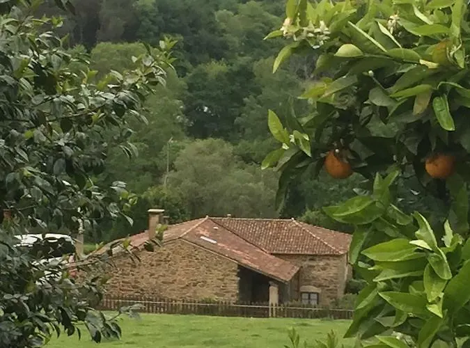 Casa Torres בית נופש